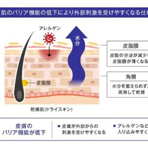 514466904_18131763499433049_842353579444186185_n
