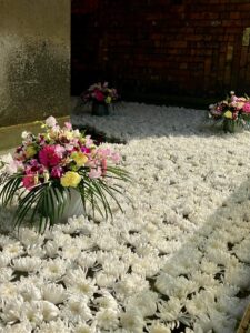 619888013_18153527689433049_9143203183199245186_n